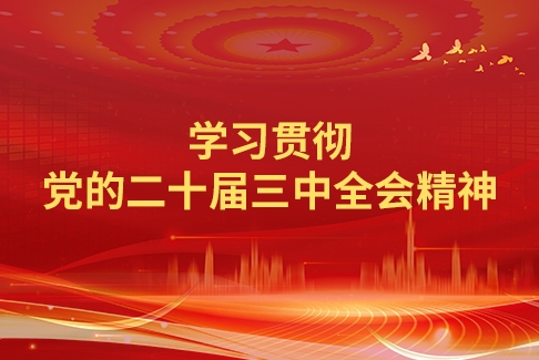 学习贯彻党的二十届三中全会精神