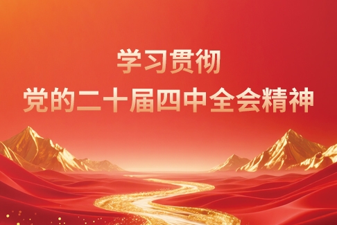 学习贯彻党的二十届四中全会精神